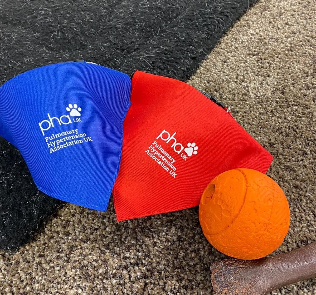 Dog bandana - Image 5