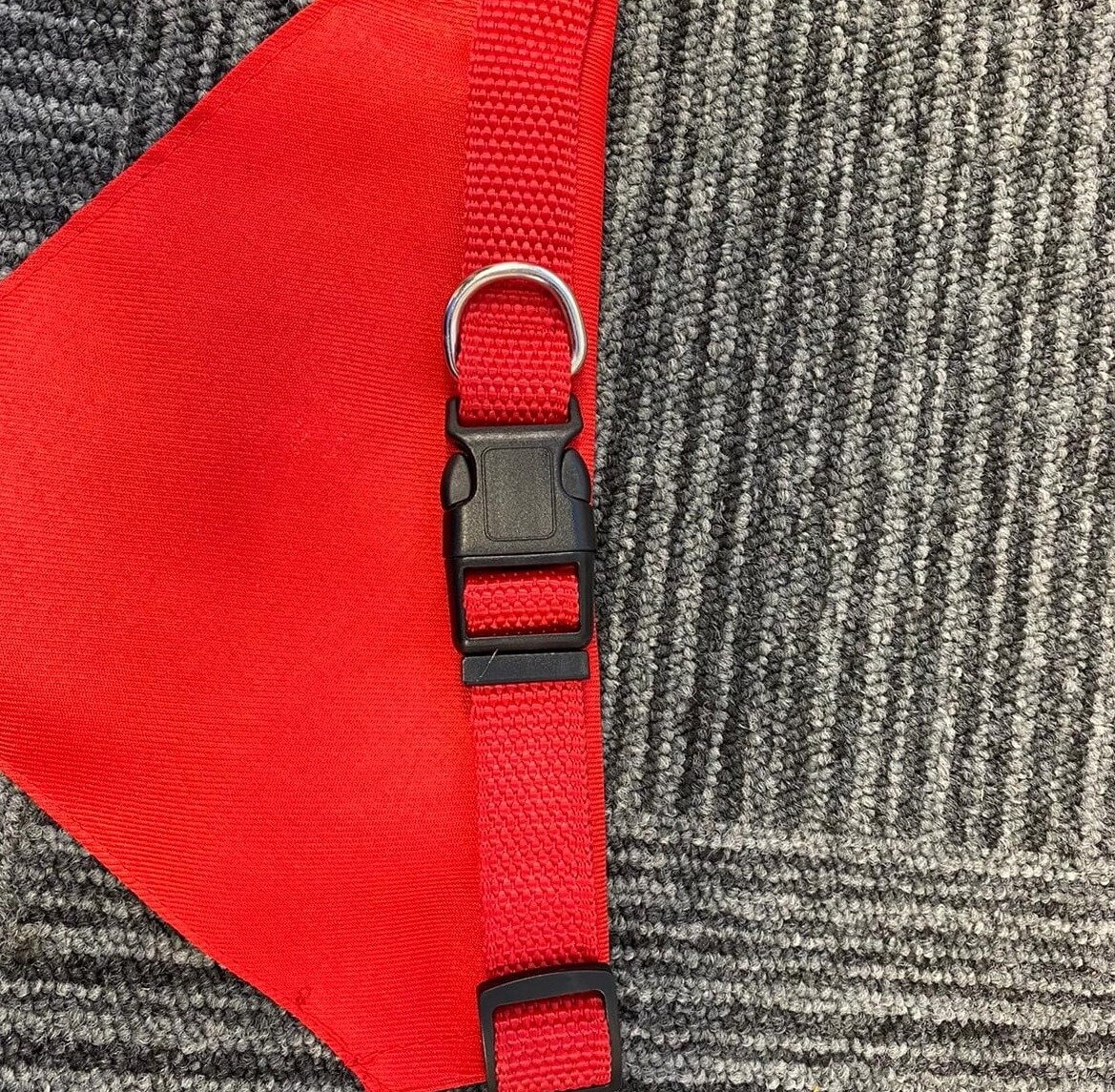 Dog bandana - Image 6